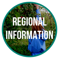 Regional Information